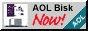 aol20.gif (2466 bytes)